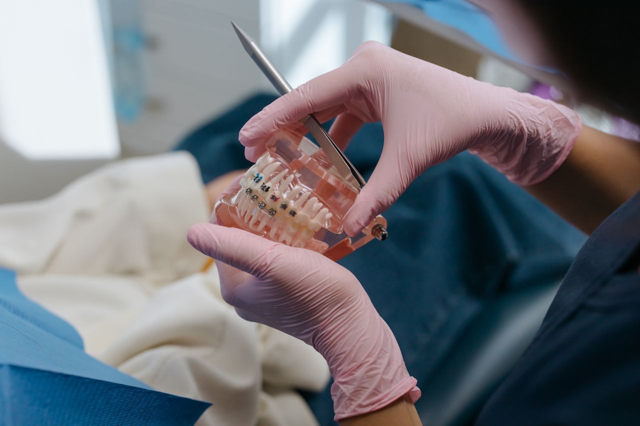 A dentist holding a model mouth with braces for a patient